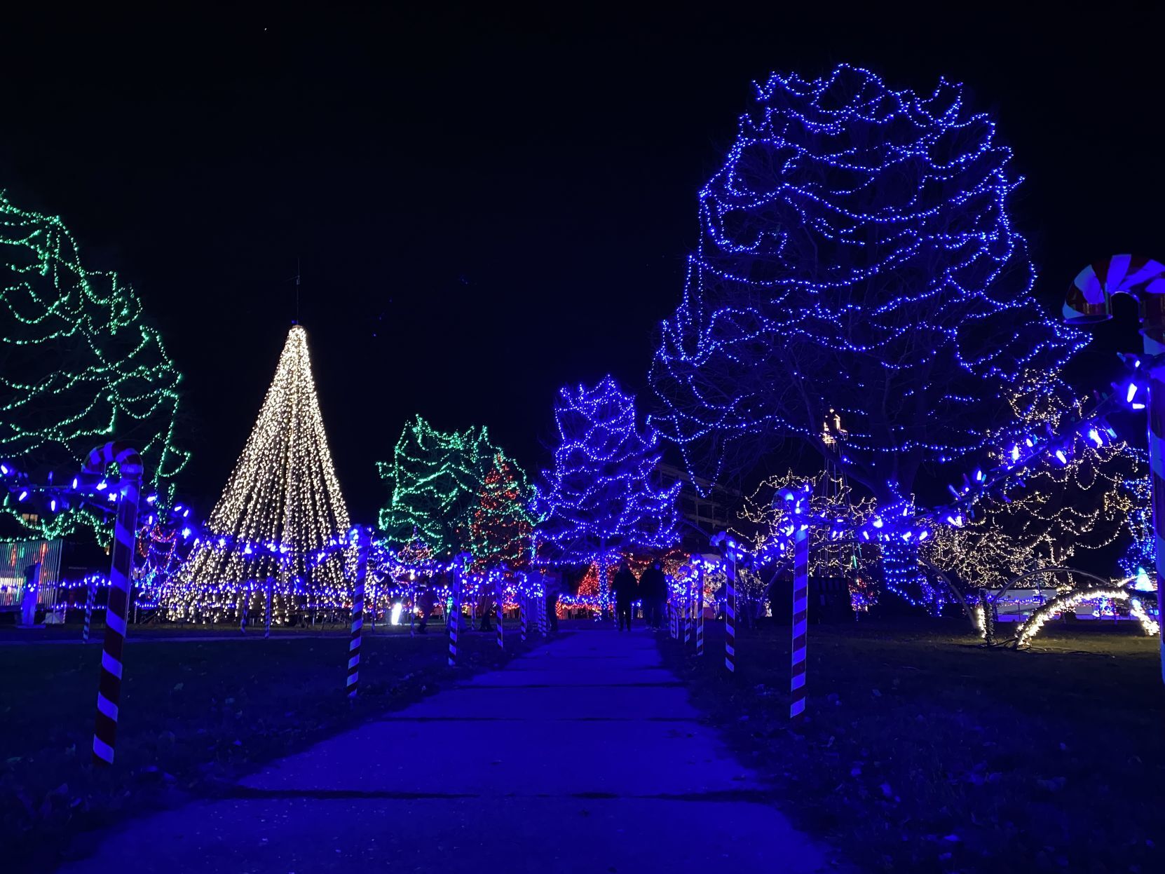 Rotary Lights 2020